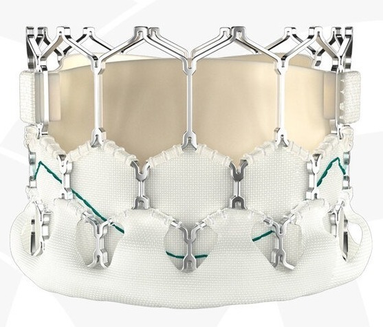 tavr05